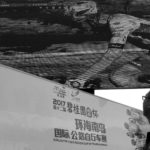 Hainan_2_jumbo_1